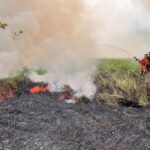 El Niño: anticiparlo no permite prever todos sus efectos