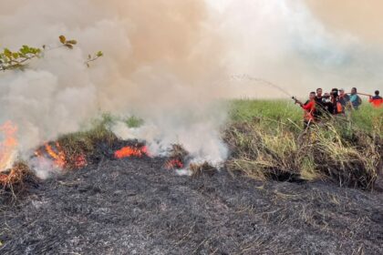 El Niño: anticiparlo no permite prever todos sus efectos