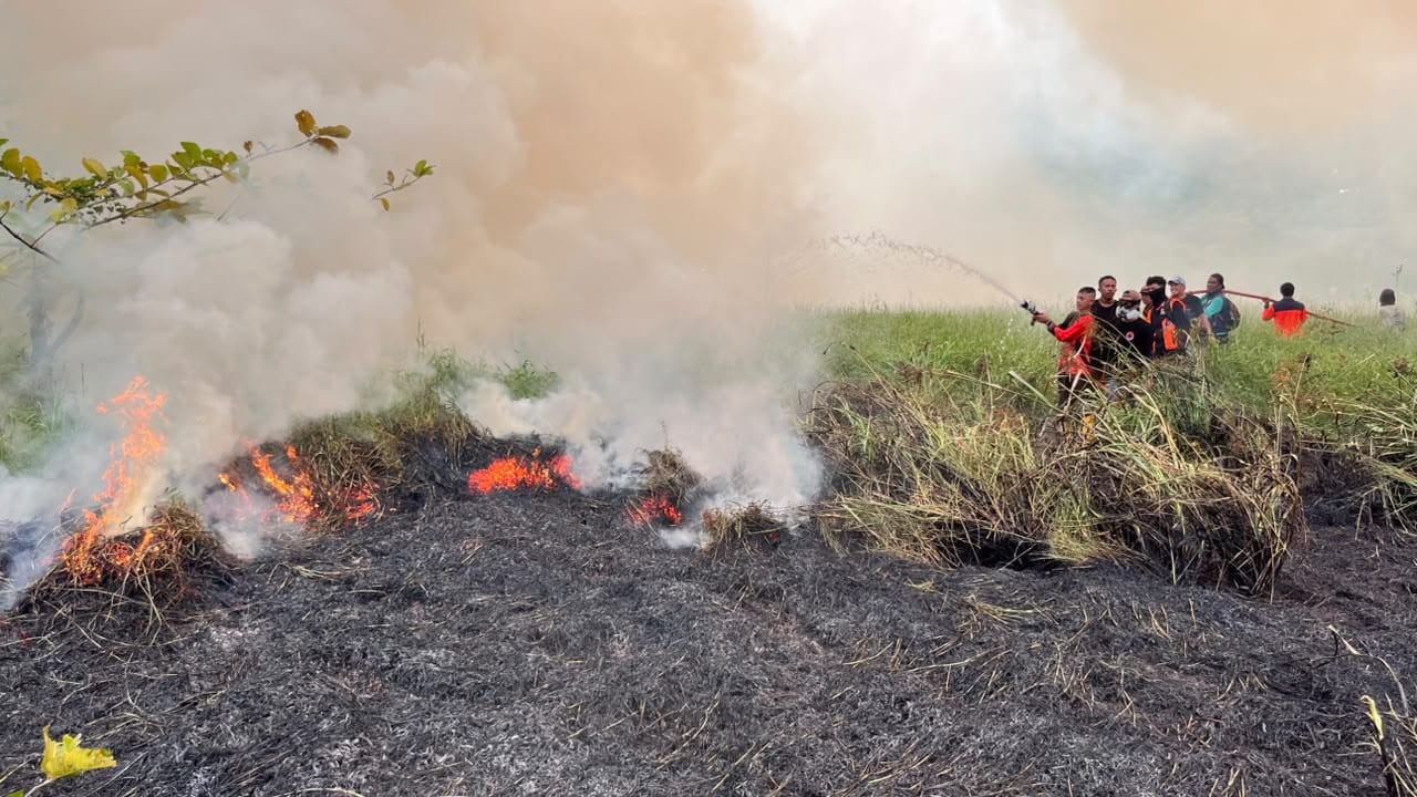 El Niño: anticiparlo no permite prever todos sus efectos