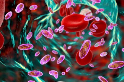 La inteligencia artificial reduce la mortalidad por sepsis en un hospital de Mallorca