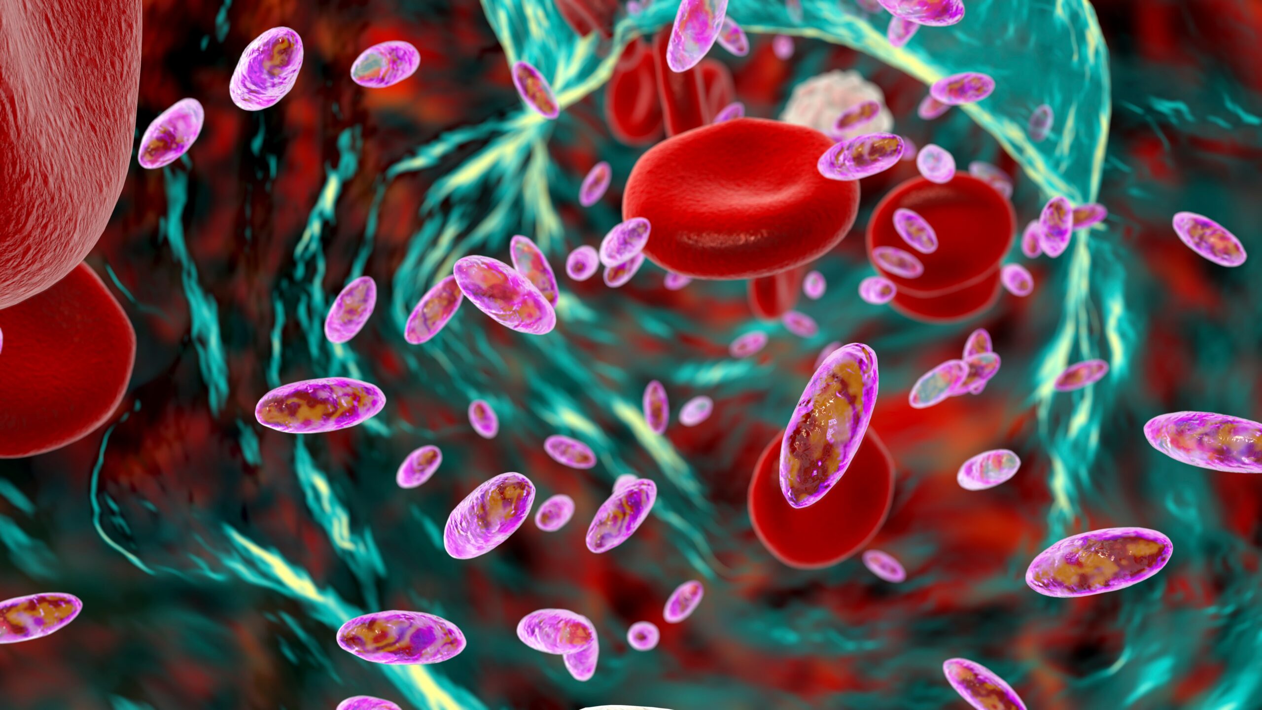 La inteligencia artificial reduce la mortalidad por sepsis en un hospital de Mallorca